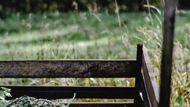 Blog: Der eigene Komposthaufen: Was ist zu beachten? (6003)