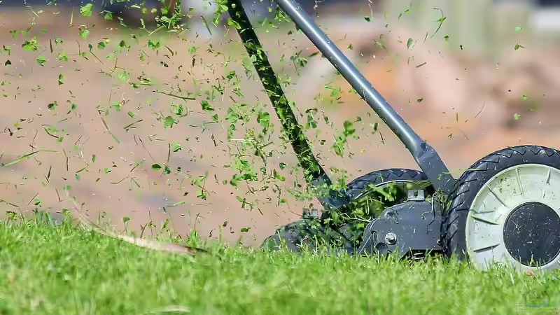 Blog: Der emissionsarme Garten - nachhaltig gärtnern mit Verantwortung und Zukunft (7735)