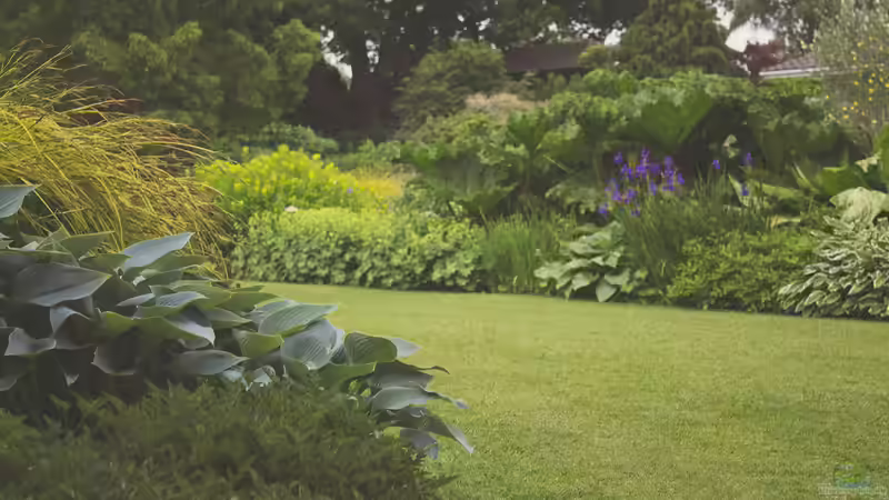 Blog: Der Garten als Hobby: Ein umfassender Blick auf Zahlen, Trends und Entwicklungen (6964)