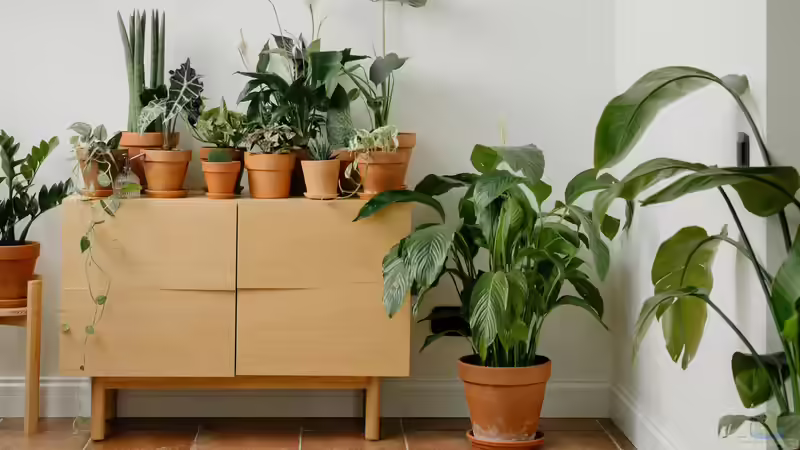 Blog: Der Garten als Hobby: Ein umfassender Blick auf Zahlen, Trends und Entwicklungen (6964)