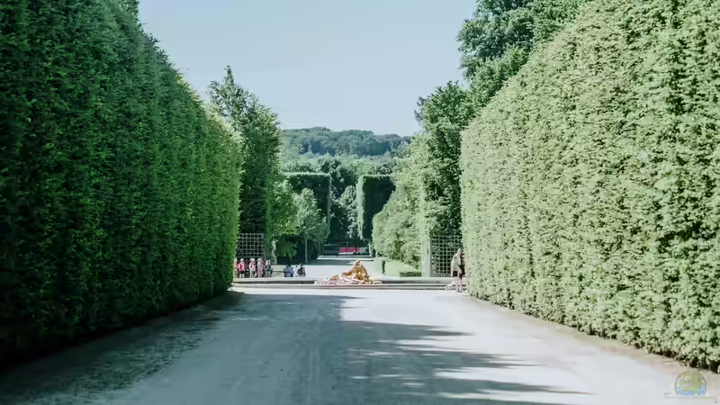 Blog: Der Garten des Schloss Versailles - Ein Meisterwerk französischer Gartenkunst (7101)
