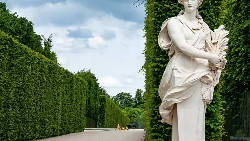 Blog: Der Garten des Schloss Versailles - Ein Meisterwerk französischer Gartenkunst (7101)