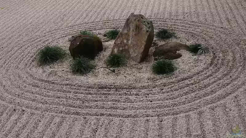 Blog: Der Japandi-Stil im Garten perfekt umgesetzt: So gelingt das Zusammenspiel von Japan und Skandinavien (6565)