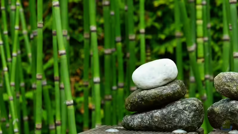 Blog: Der Japandi-Stil im Garten perfekt umgesetzt: So gelingt das Zusammenspiel von Japan und Skandinavien (6565)