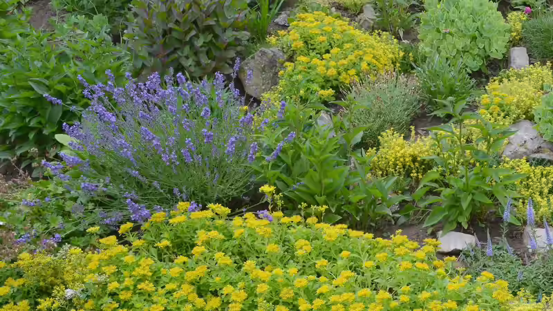 Blog: Der klimafeste Garten - So wird Ihr Garten widerstandsfähig gegen Hitze, Trockenheit und Extremwetter (8007)