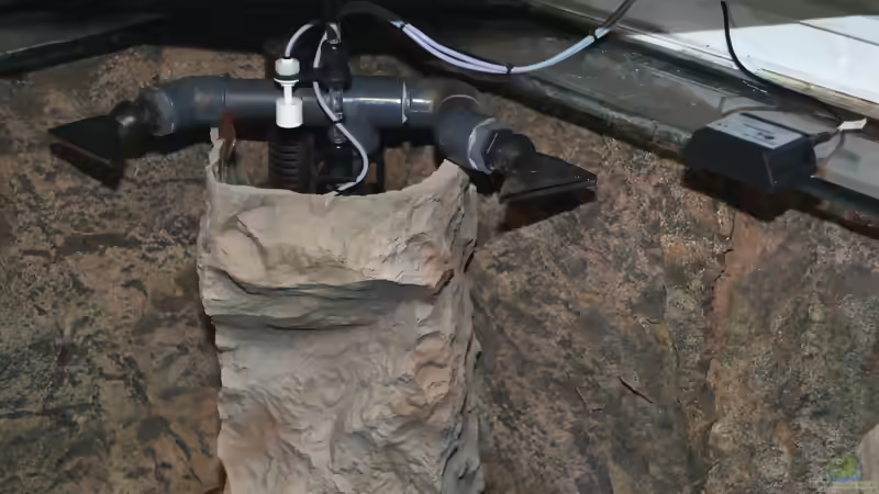 Blog: Der Umbau meine Aquariums zu "Reborn from the Ashes" (4798)