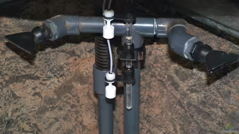 Blog: Der Umbau meine Aquariums zu "Reborn from the Ashes" (4798)