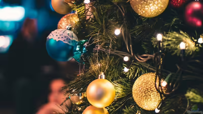 Blog: Der Weihnachtsbaum im Wandel der Zeit (6610)