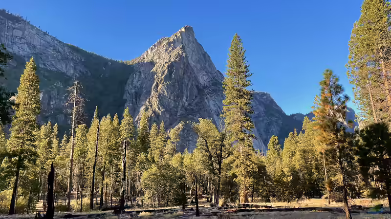 Blog: Der Yosemite-Nationalpark für Garten- und Naturliebhaber: Ein Paradies der Pflanzen- und Naturvielfalt (7099)