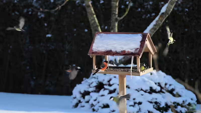 Blog: Die erste Gartenarbeit am Neujahrstag – Ein stilles Ritual für Neubeginn und Wachstum (6641)