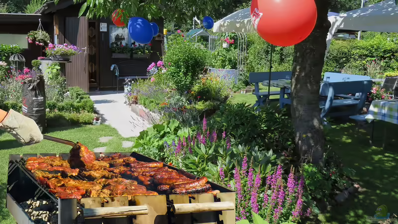Blog: Die Gartenparty: Was ist zu beachten? (6379)