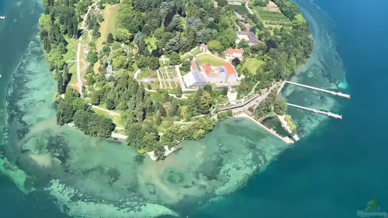 Blog: Die Insel Mainau: Ein Muss für Gartenliebhaber (6357)
