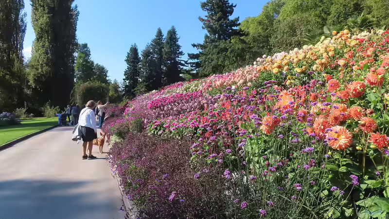 Blog: Die Insel Mainau: Ein Muss für Gartenliebhaber (6357)