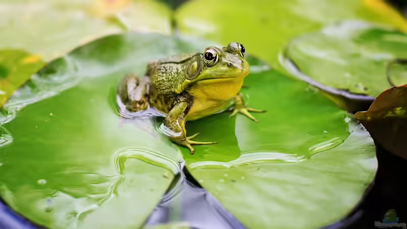 Blog: Diese eine Liebe wird nie zu Ende gehen! Part 1 (5552)