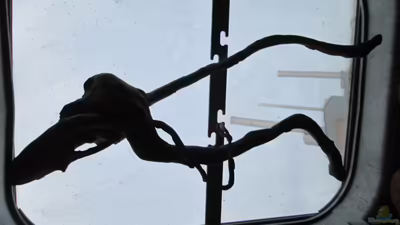 Blog: DIY Alternativen zur Rückwand! (5142)