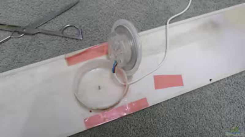 Blog: Do it yourself: Mondlicht (3967)