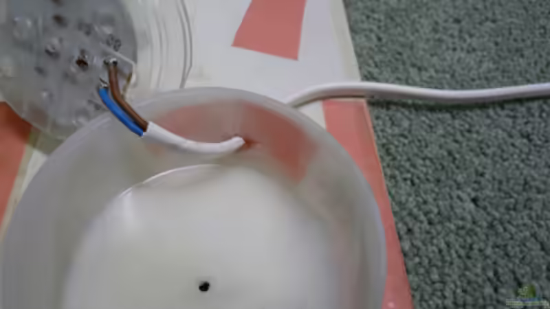 Blog: Do it yourself: Mondlicht (3967)