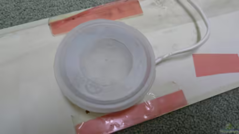 Blog: Do it yourself: Mondlicht (3967)