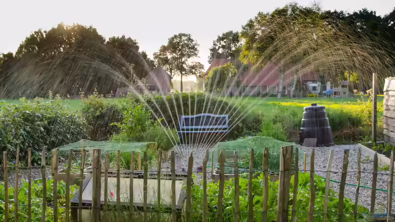 Blog: Effektiv den Garten an heißen Tagen gießen (8133)