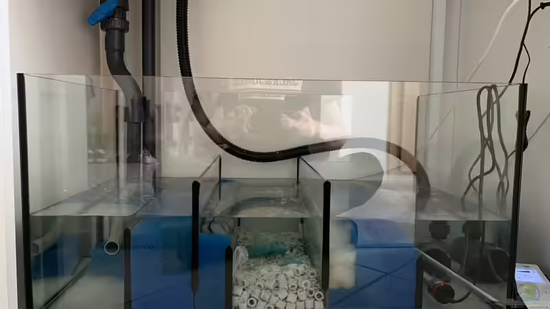 Blog: Ein Filterbecken selbst bauen: Was ist zu beachten? (6560)