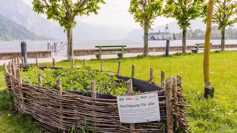 Blog: Ein Hochbeet kaufen oder selbst bauen? Der große Praxisvergleich für Gartenfreunde (7726)