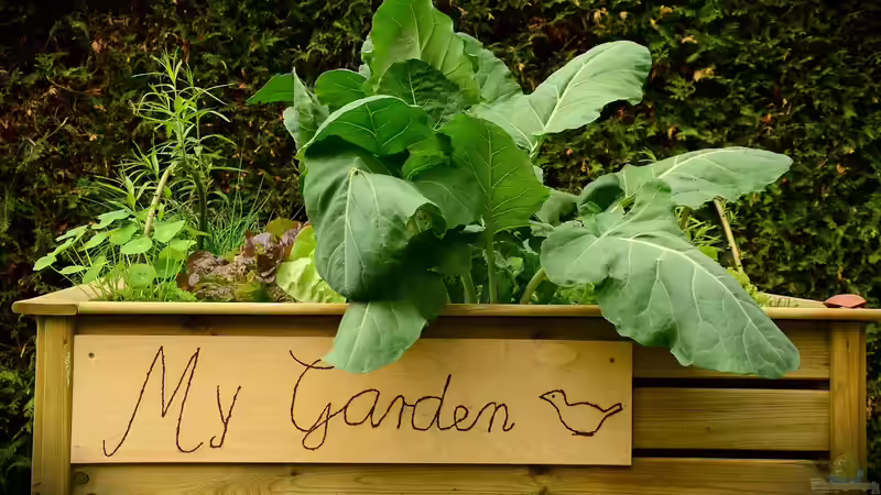 Blog: Ein Hochbeet kaufen oder selbst bauen? Der große Praxisvergleich für Gartenfreunde (7726)
