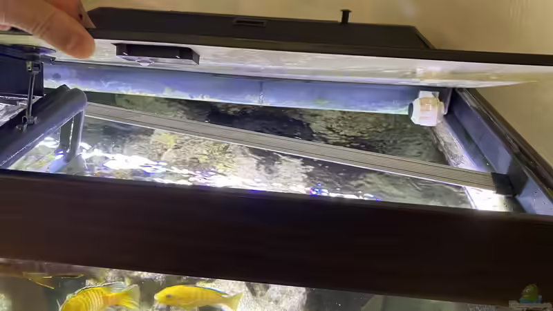 Blog: Eine LED-Beleuchtung nachrüsten - Der umfassende Leitfaden für dein Aquarium (7776)