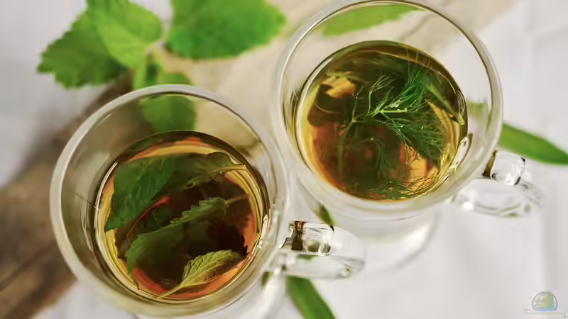 Blog: Einen Apothekergarten anlegen - Anleitung, Tipps und Pflanzenempfehlungen (7239)