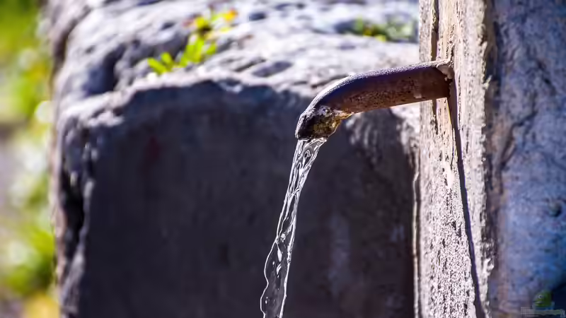 Blog: Einen Brunnen im Garten selber bohren: So gelingt der Zugang zum eigenen Wasser (6607)