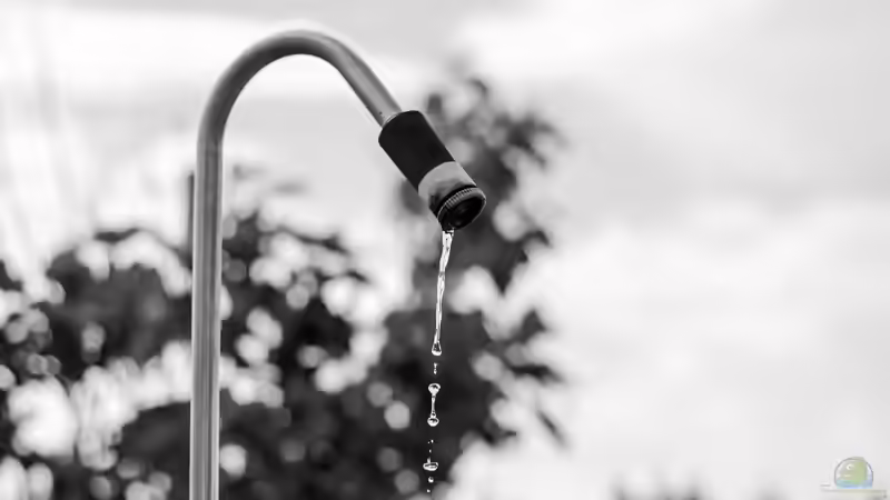 Blog: Einfache Abkühlung im Sommer: Ideen für schöne Gartenduschen (6605)