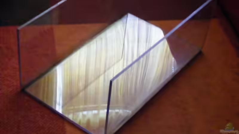 Blog: Exclusiv für EB von Aquascape-Guru- Das ???Klappaquarium??? ??? Innovation im Aquarienbau (4193)