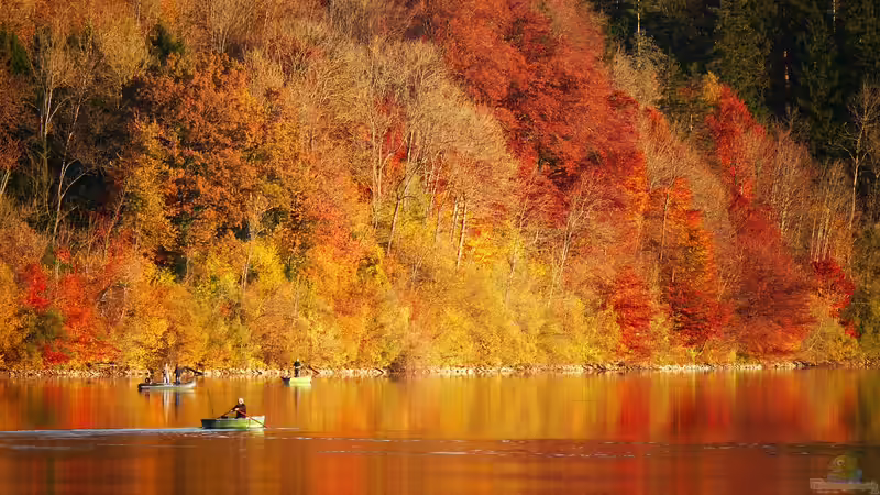 Blog: Faszination Herbstfärbung: Das bunte Schauspiel der Natur (6488)