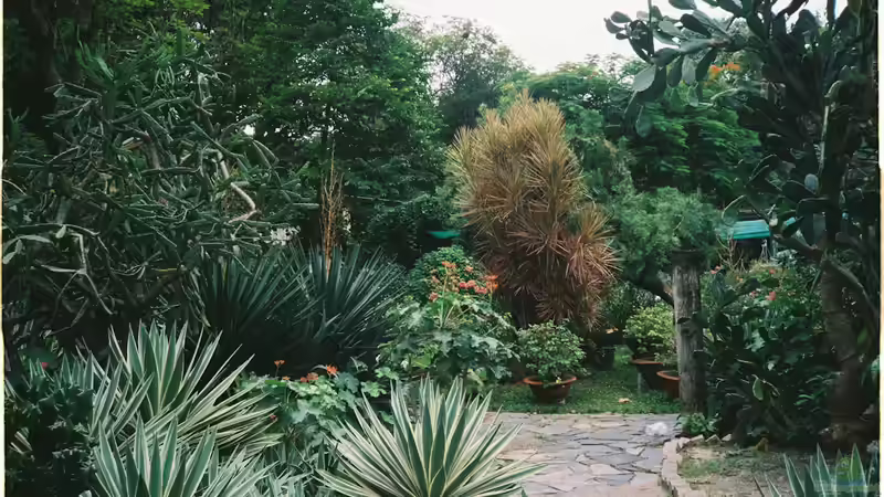 Blog: Feng Shui bei der Terrassenplanung berücksichtigen (7460)
