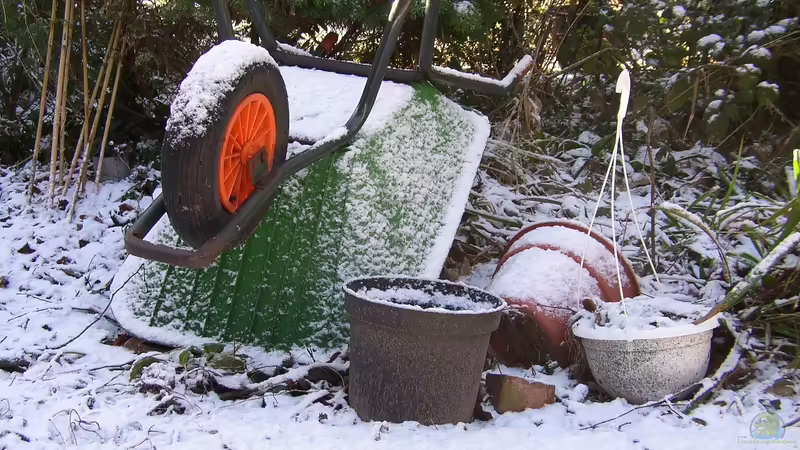 Blog: Frostsprengung im Boden – Was im Winter unter der Erde passiert (6640)