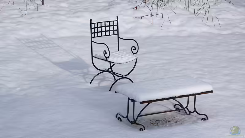 Blog: Frostsprengung im Boden – Was im Winter unter der Erde passiert (6640)