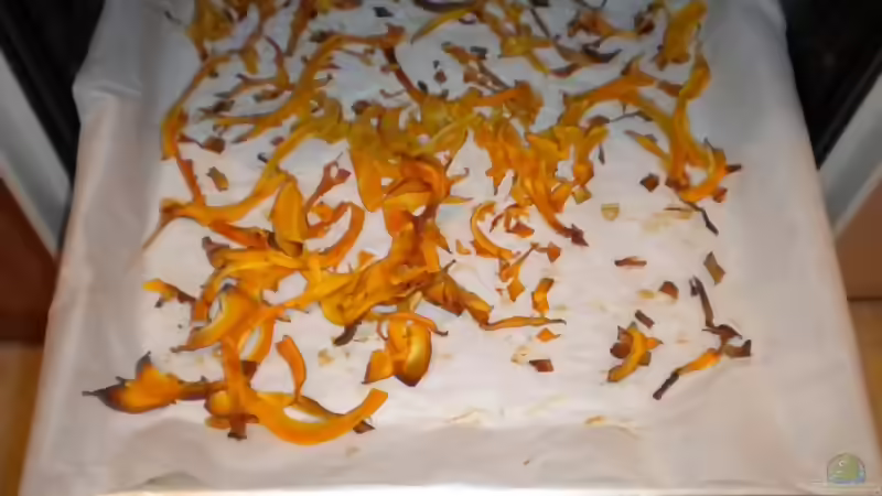 Blog: Futter für Garnelen ??? der Hokkaidokürbis (3621)
