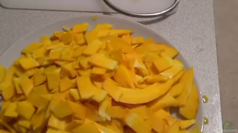 Blog: Futter für Garnelen ??? der Hokkaidokürbis (3621)