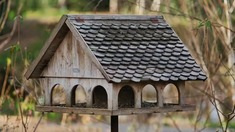 Blog: Futterhäuschen für Vögel im Garten - Arten, Materialien, Standort und richtige Vogelfütterung im Jahresverlauf (7928)