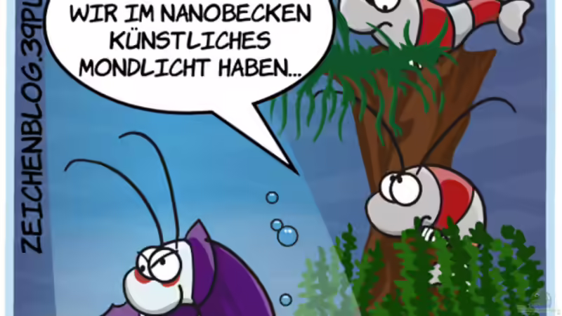 Blog: Garnelencartoons - Feuchtfröhlicher Humor aus dem Nanobecken (3505)