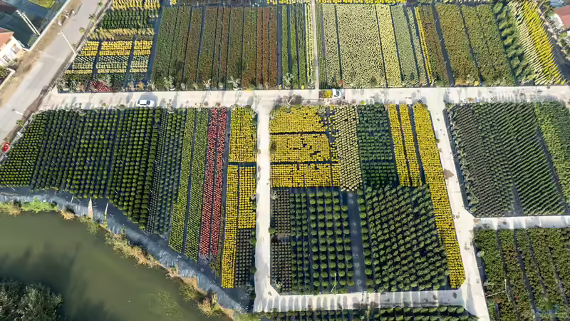 Blog: Gartencenter oder Baumschule? Der große Vergleich für Gartenfreunde (7617)