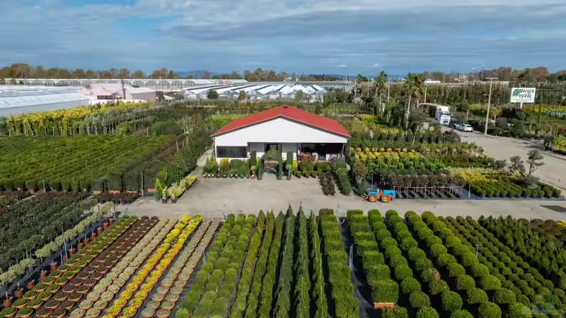 Blog: Gartencenter oder Baumschule? Der große Vergleich für Gartenfreunde (7617)