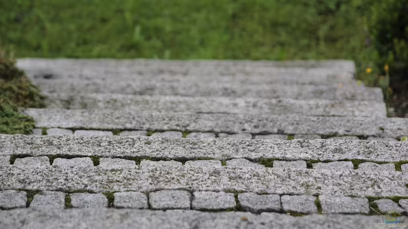 Blog: Gartentreppen natürlich in die Umgebung einpassen (6355)