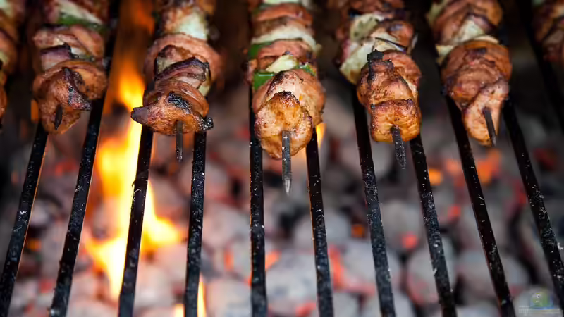 Blog: Gas- oder Holzkohlegrill: Was sind die aktuellen Trends? (6934)