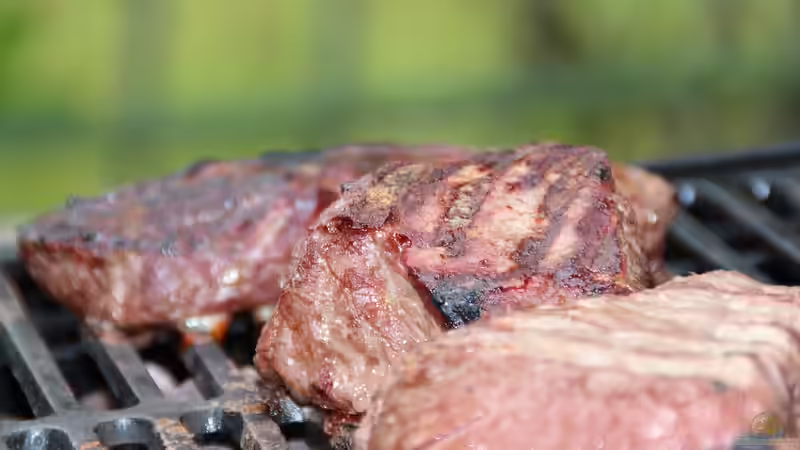 Blog: Gas- oder Holzkohlegrill: Was sind die aktuellen Trends? (6934)