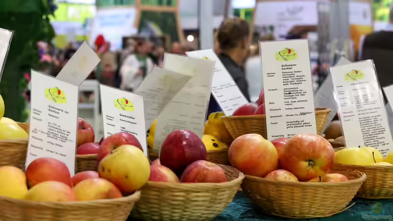 Blog: Grüne Woche Berlin - Das große Schaufenster für Landwirtschaft, Garten und Natur (7652)