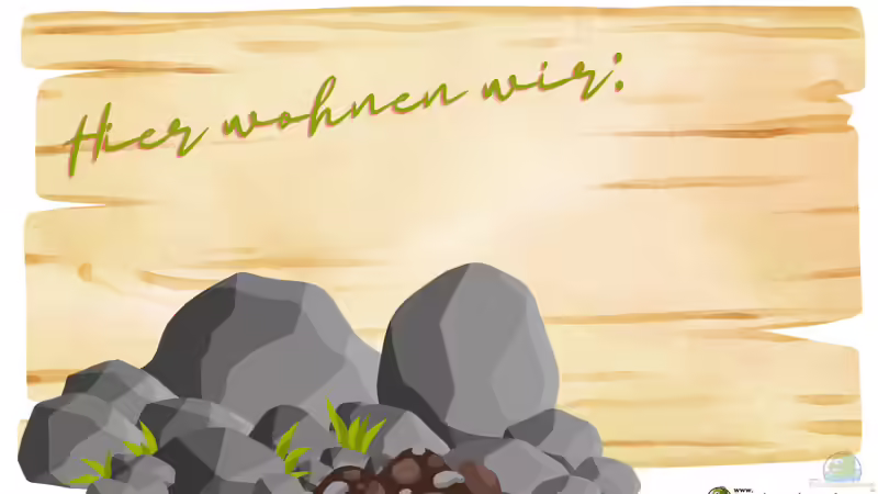 Blog: Hier wohnen wir - Aus Unordnung wird Lebensraum (6971)