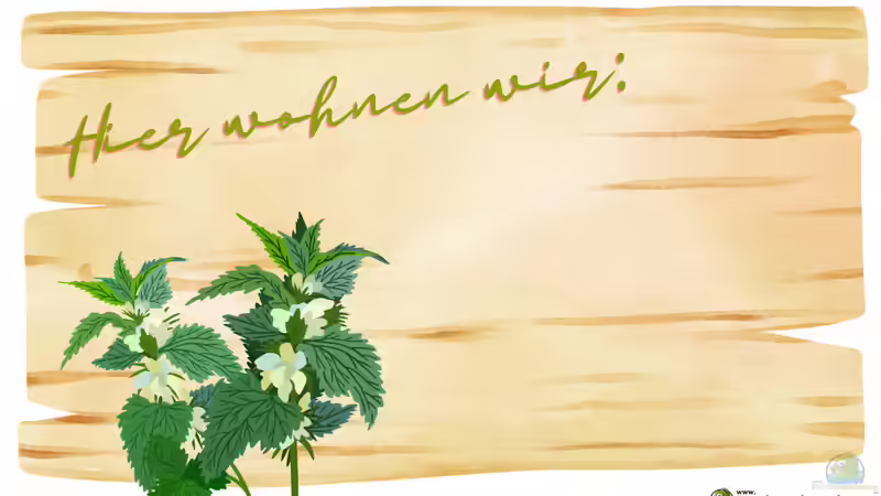 Blog: Hier wohnen wir - Aus Unordnung wird Lebensraum (6971)