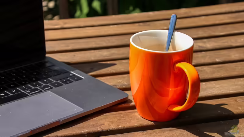 Blog: Homeoffice auf Terrasse oder im Garten (6566)