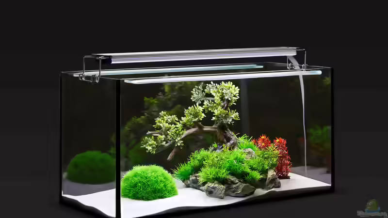 Blog: Innovation in der Aquaristik: aquaLUMix LED-Kompaktsystem (5307)