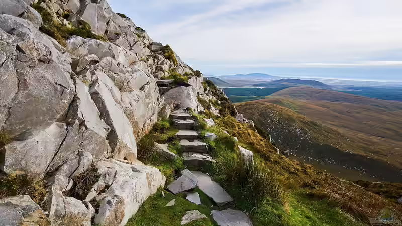 Blog: Irland für Garten- und Naturliebhaber — Ein ausführlicher Guide für Reisen, Pflanzen und Inspiration (7255)